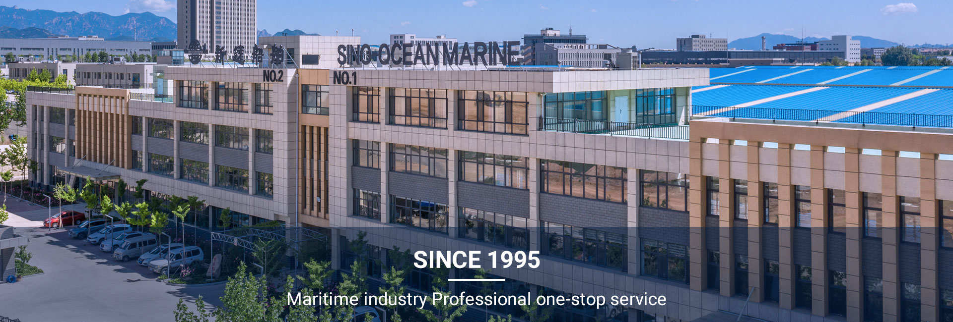 Diesel Generator, Generator Engine, High Speed Diesel Engine - Sino-Ocean Marine